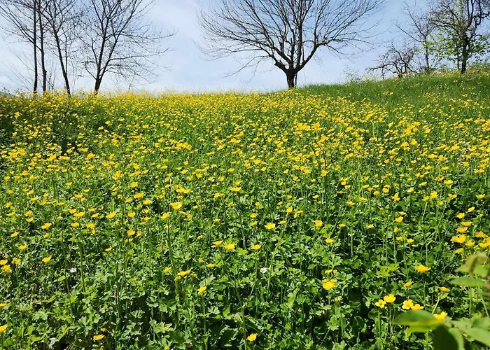 Casa de Férias Atlas6161 Trebizonda