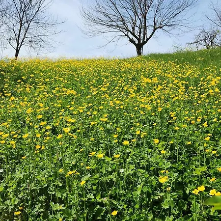 Casa vacanze Atlas6161 Trabzon